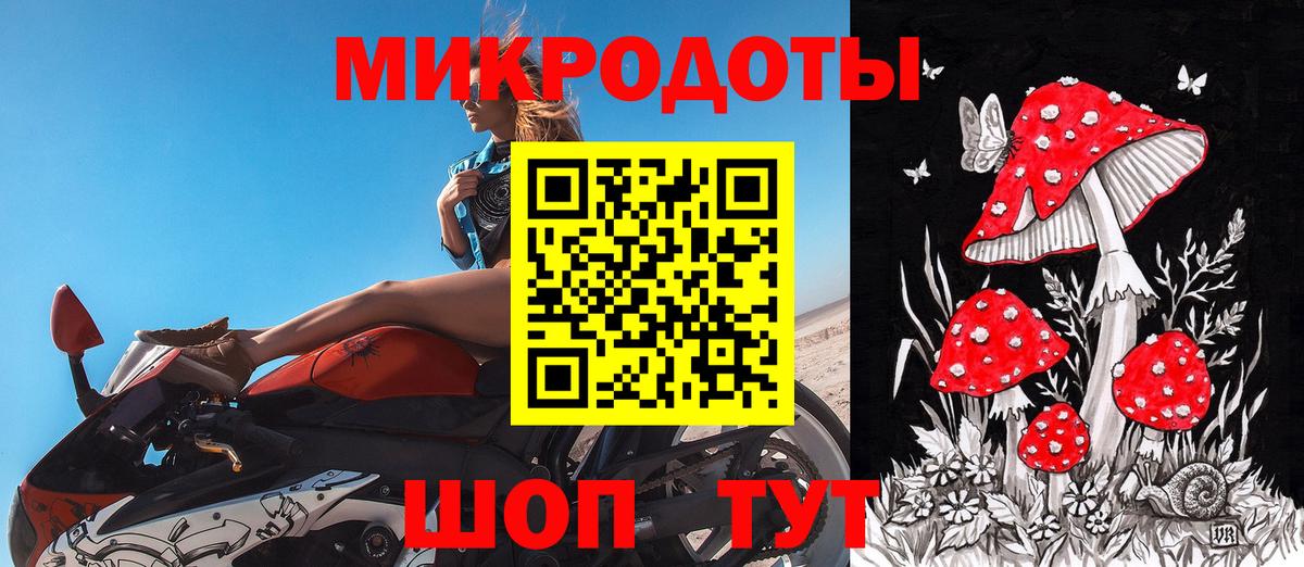 Узловая  Галлюциногенные грибы Cubensis  Вход с VPN 