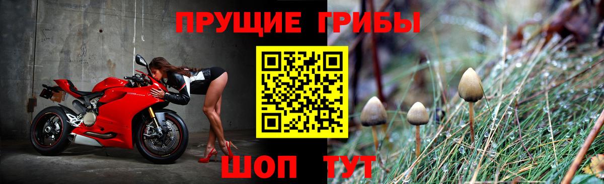 Галлюциногенные грибы Cubensis Узловая