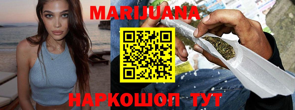 Конопля сатива Узловая
